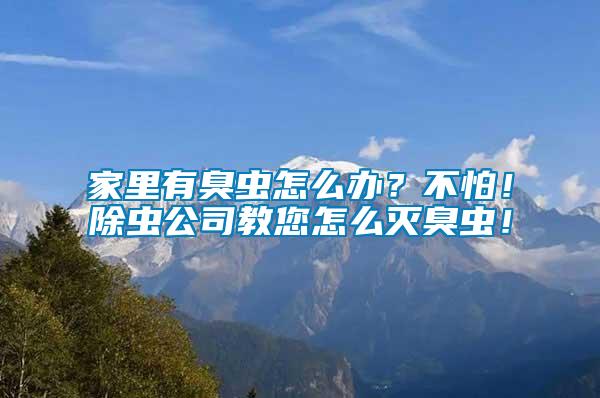 家里有臭蟲怎么辦？不怕！除蟲公司教您怎么滅臭蟲！