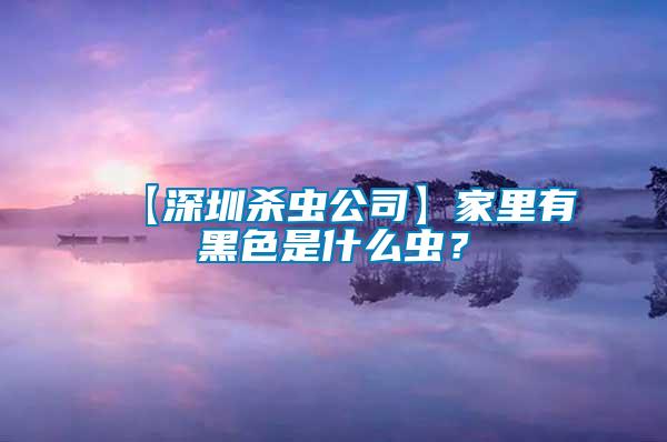 【深圳殺蟲(chóng)公司】家里有黑色是什么蟲(chóng)？