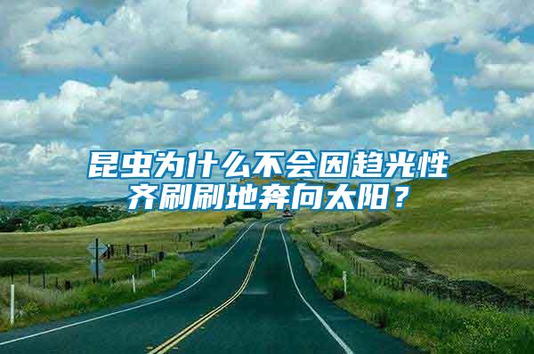 昆蟲為什么不會(huì)因趨光性齊刷刷地奔向太陽？