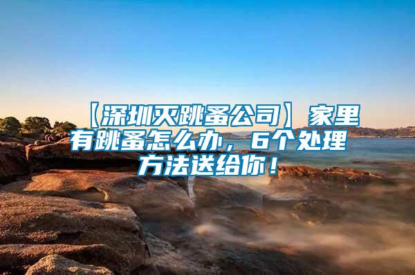 【深圳滅跳蚤公司】家里有跳蚤怎么辦，6個(gè)處理方法送給你！