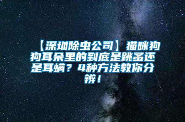 【深圳除蟲公司】貓咪狗狗耳朵里的到底是跳蚤還是耳螨？4種方法教你分辨！