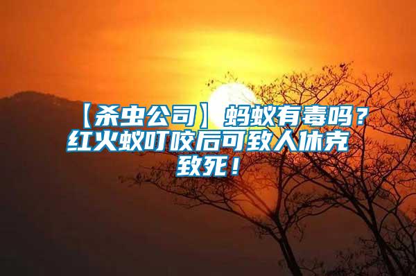 【殺蟲(chóng)公司】螞蟻有毒嗎？紅火蟻叮咬后可致人休克致死！