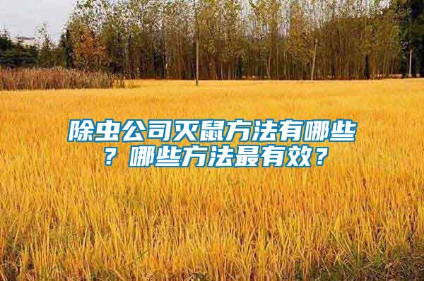 除蟲公司滅鼠方法有哪些？哪些方法最有效？