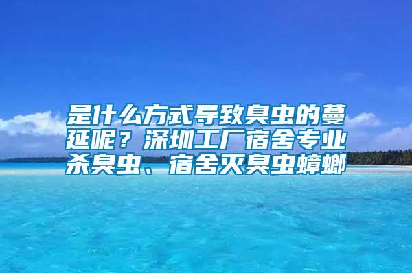 是什么方式導(dǎo)致臭蟲的蔓延呢？深圳工廠宿舍專業(yè)殺臭蟲、宿舍滅臭蟲蟑螂