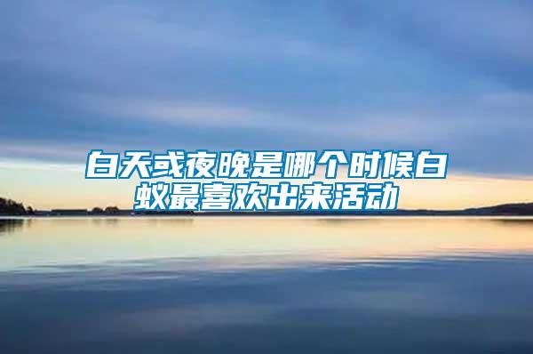 白天或夜晚是哪個時候白蟻最喜歡出來活動