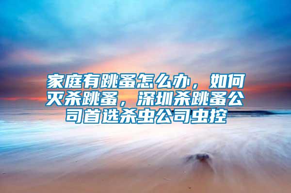 家庭有跳蚤怎么辦，如何滅殺跳蚤，深圳殺跳蚤公司首選殺蟲公司蟲控