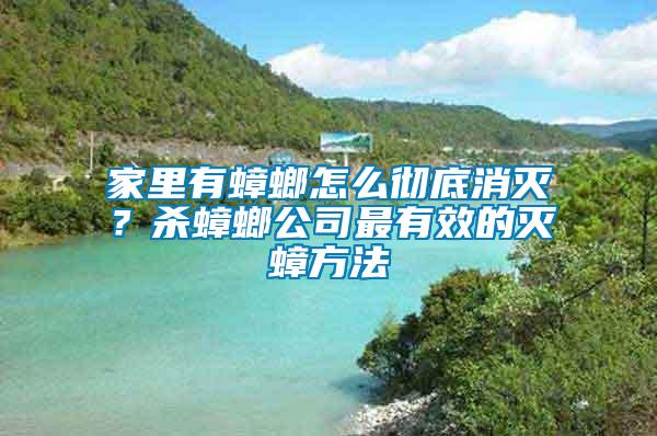 家里有蟑螂怎么徹底消滅？殺蟑螂公司最有效的滅蟑方法