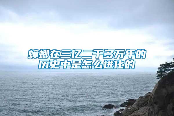 蟑螂在三億二千多萬年的歷史中是怎么進(jìn)化的