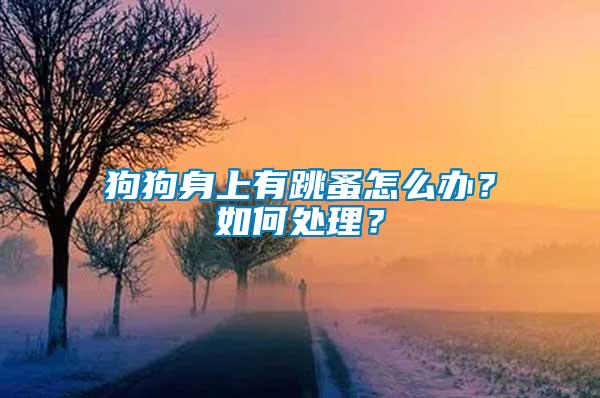 狗狗身上有跳蚤怎么辦？如何處理？