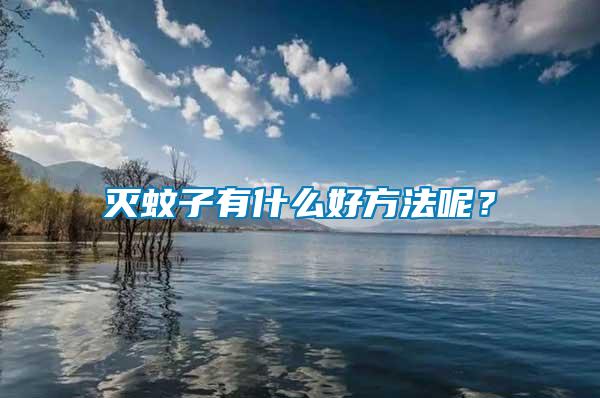 滅蚊子有什么好方法呢？