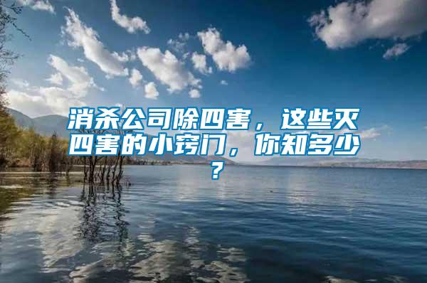 消殺公司除四害，這些滅四害的小竅門，你知多少？