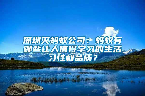 深圳滅螞蟻公司：螞蟻有哪些讓人值得學(xué)習(xí)的生活習(xí)性和品質(zhì)？