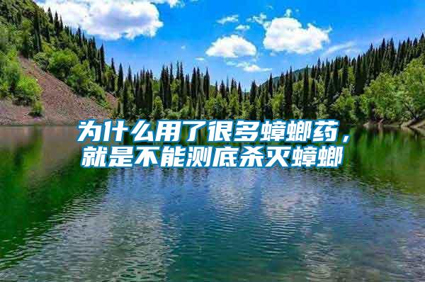 為什么用了很多蟑螂藥，就是不能測底殺滅蟑螂