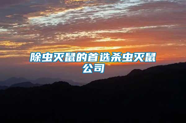 除蟲(chóng)滅鼠的首選殺蟲(chóng)滅鼠公司