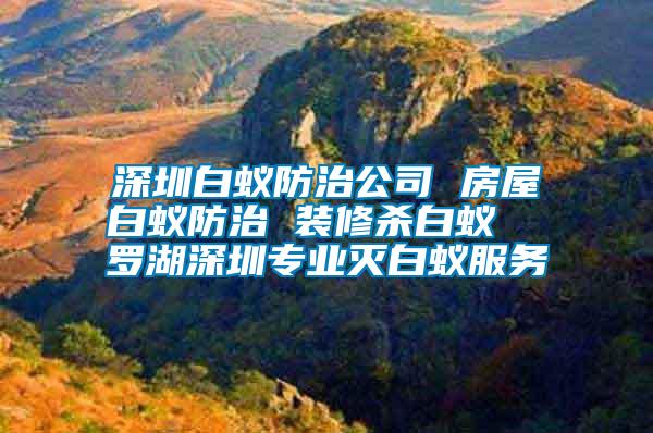 深圳白蟻防治公司 房屋白蟻防治 裝修殺白蟻  羅湖深圳專業(yè)滅白蟻服務(wù)