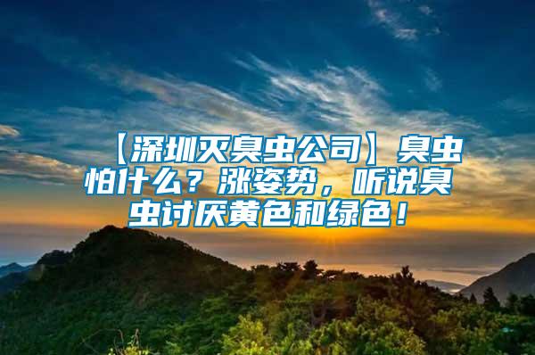 【深圳滅臭蟲公司】臭蟲怕什么？漲姿勢，聽說臭蟲討厭黃色和綠色！