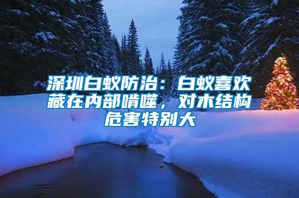 深圳白蟻防治：白蟻喜歡藏在內(nèi)部啃噬，對木結(jié)構(gòu)危害特別大