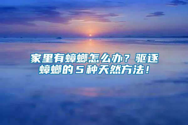 家里有蟑螂怎么辦？驅(qū)逐蟑螂的５種天然方法！