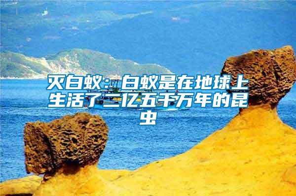 滅白蟻：白蟻是在地球上生活了二億五千萬(wàn)年的昆蟲