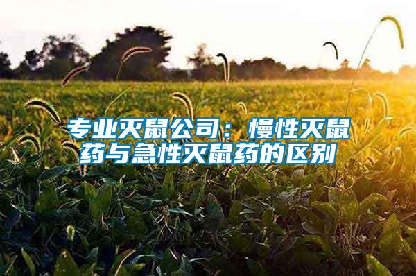 專業(yè)滅鼠公司：慢性滅鼠藥與急性滅鼠藥的區(qū)別