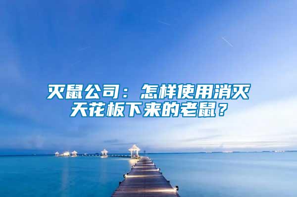 滅鼠公司：怎樣使用消滅天花板下來的老鼠？