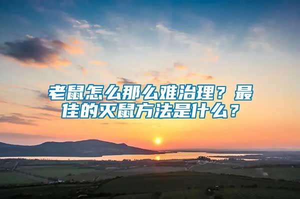 老鼠怎么那么難治理？最佳的滅鼠方法是什么？