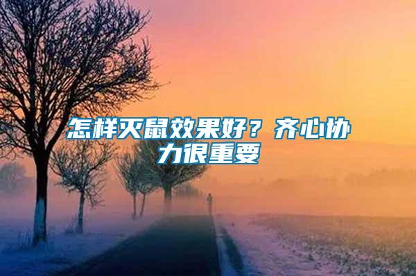 怎樣滅鼠效果好？齊心協(xié)力很重要