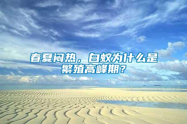 春夏悶熱，白蟻為什么是繁殖高峰期？