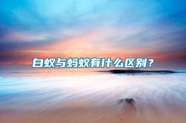 白蟻與螞蟻有什么區(qū)別？