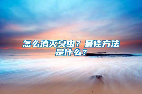 怎么消滅臭蟲？最佳方法是什么？