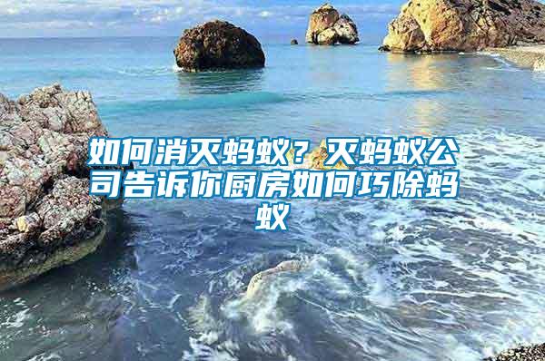 如何消滅螞蟻？滅螞蟻公司告訴你廚房如何巧除螞蟻