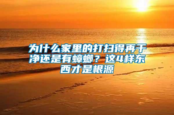 為什么家里的打掃得再干凈還是有蟑螂？這4樣東西才是根源