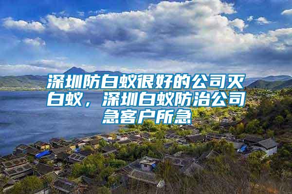 深圳防白蟻很好的公司滅白蟻，深圳白蟻防治公司急客戶(hù)所急