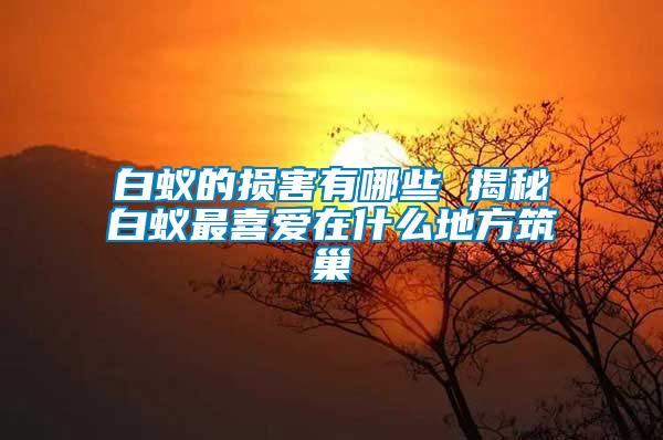 白蟻的損害有哪些 揭秘白蟻?zhàn)钕矏?ài)在什么地方筑巢