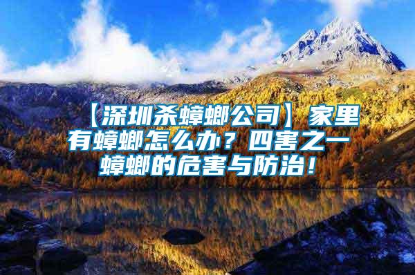 【深圳殺蟑螂公司】家里有蟑螂怎么辦？四害之一蟑螂的危害與防治！