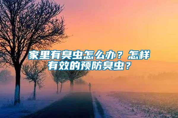 家里有臭蟲怎么辦？怎樣有效的預(yù)防臭蟲？