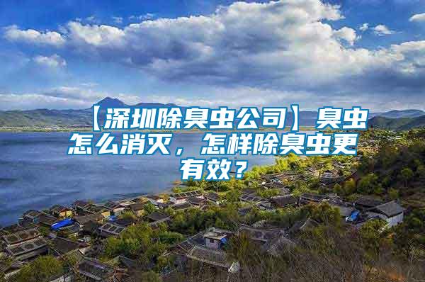 【深圳除臭蟲公司】臭蟲怎么消滅，怎樣除臭蟲更有效？