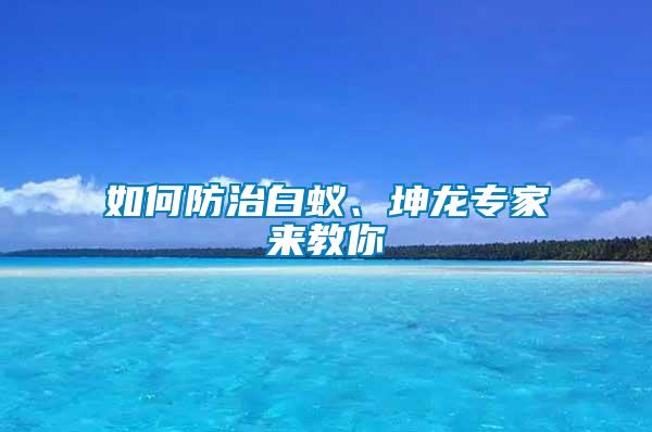 如何防治白蟻、坤龍專家來教你