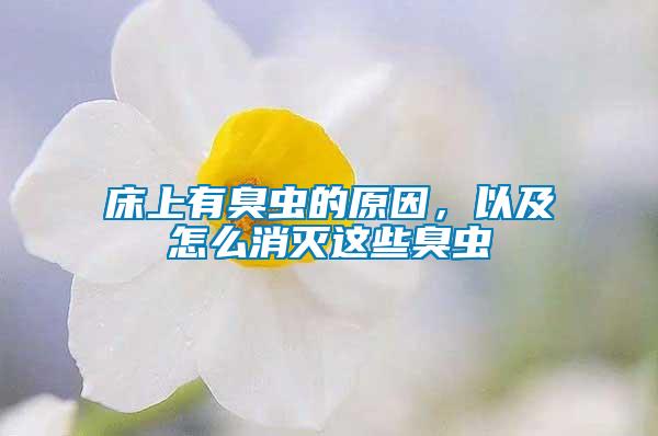 床上有臭蟲的原因，以及怎么消滅這些臭蟲