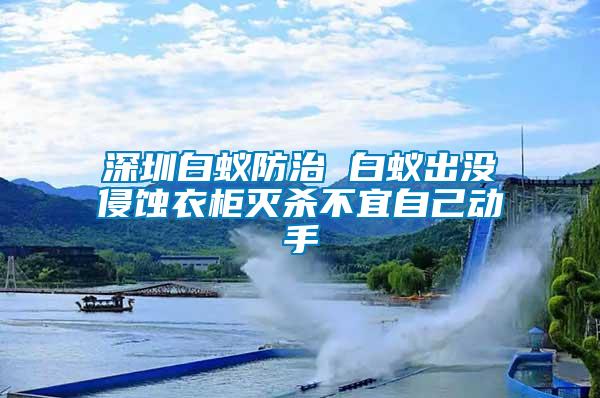 深圳白蟻防治 白蟻出沒(méi)侵蝕衣柜滅殺不宜自己動(dòng)手