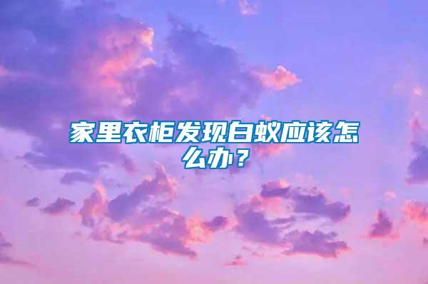 家里衣柜發(fā)現(xiàn)白蟻應(yīng)該怎么辦？