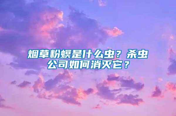 煙草粉螟是什么蟲？殺蟲公司如何消滅它？