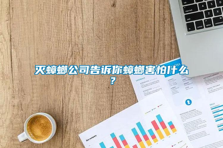 滅蟑螂公司告訴你蟑螂害怕什么？