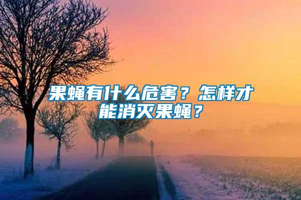 果蠅有什么危害？怎樣才能消滅果蠅？