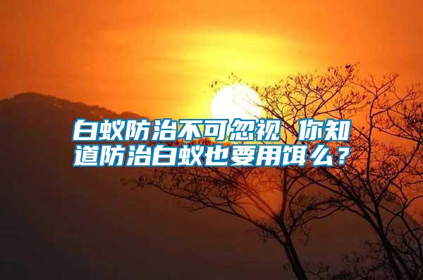 白蟻防治不可忽視 你知道防治白蟻也要用餌么？