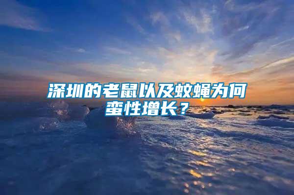 深圳的老鼠以及蚊蠅為何蠻性增長？