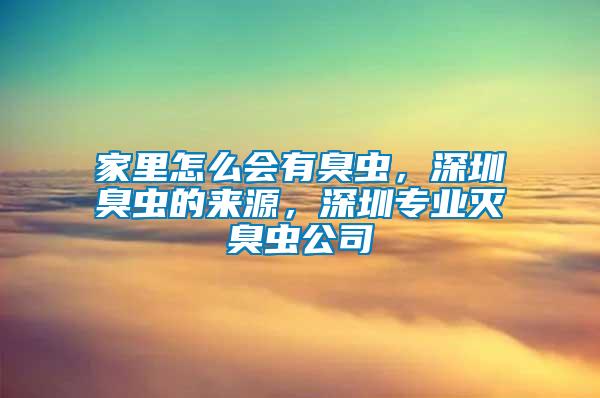 家里怎么會有臭蟲，深圳臭蟲的來源，深圳專業(yè)滅臭蟲公司