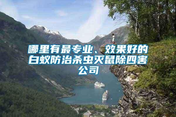 哪里有最專業(yè)、效果好的白蟻防治殺蟲滅鼠除四害公司