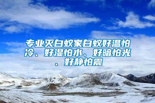 專業(yè)滅白蟻家白蟻好溫怕冷、好濕怕水、好暗怕光、好靜怕震