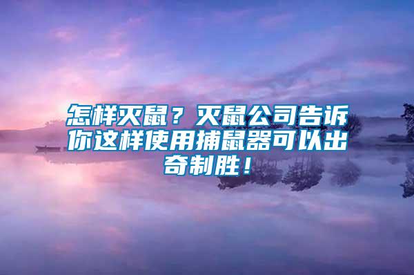 怎樣滅鼠？滅鼠公司告訴你這樣使用捕鼠器可以出奇制勝！